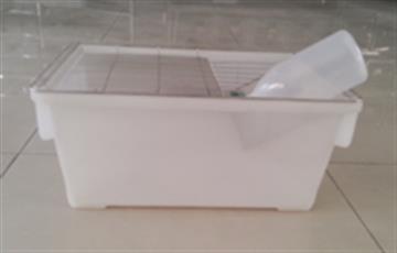 SS4型大鼠笼